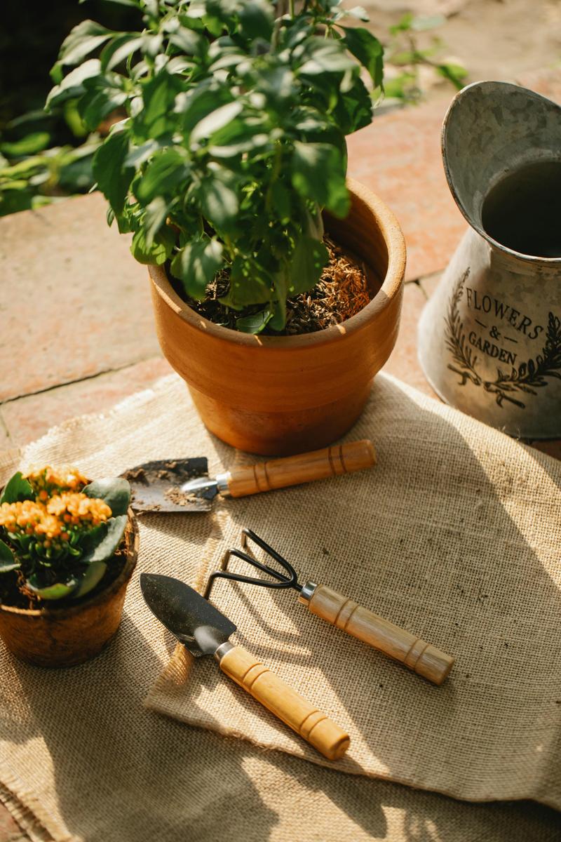 garden tool