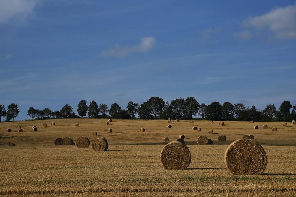 modern farming